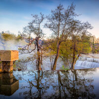 COPSE, COGS & WEIR by Ashley Franklin