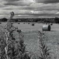 COUNTRY VIEW by Malcolm Sargent