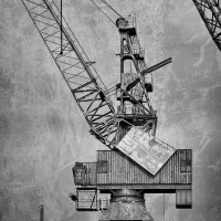 CRANES AND GULLS by Nigel Seale