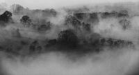 CROMFORD MORNING by David Salt
