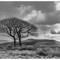 CROOKSTONE HILL by Chris Hall