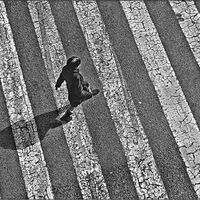 CROSSING by Frank Reeder