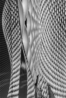 CURVES AND REFLECTIONS by Mike Arblaster