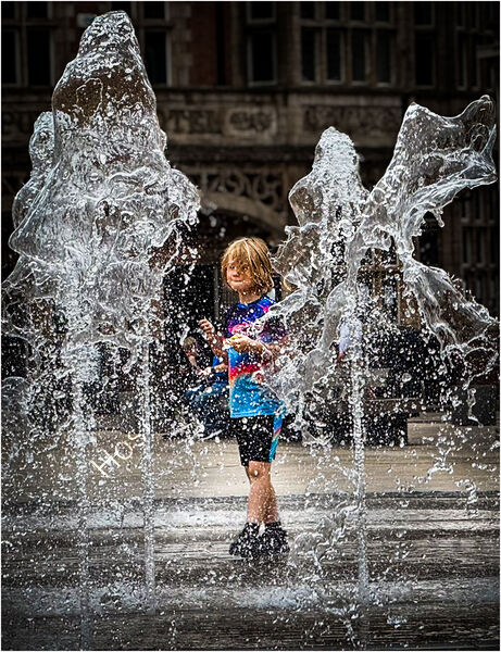 DARE I GO ANY NEARER? by David Harrison