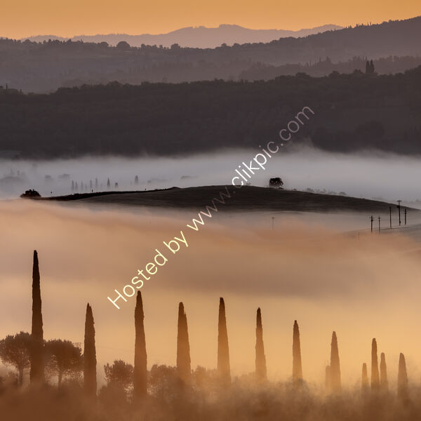 DAWN LAYERS LIGHT AND MIST by Ray Andrews