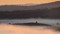 DAWN LAYERS LIGHT AND MIST by Ray Andrews