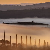 DAWN LAYERS LIGHT AND MIST by Ray Andrews