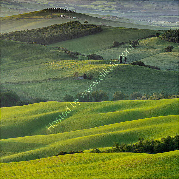 DAY BREAKS ACROSS THE RIPPLED FARMLAND by Ray Andrews