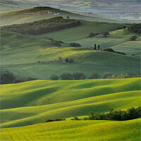 DAY BREAKS ACROSS THE RIPPLED FARMLAND by Ray Andrews
