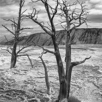 DEATH ON THE TERRACES by Christine Maughan