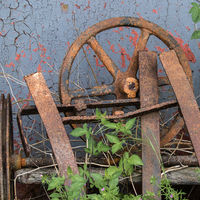 DECAY by Christine Maughan