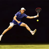 DENIS SHAPOVALOV IN ACTION by David White