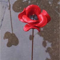 DERBY POPPY by Mick Smith