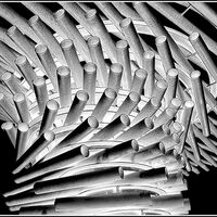DETAIL FROM SINGING, RINGING TREE by Frank Reeder