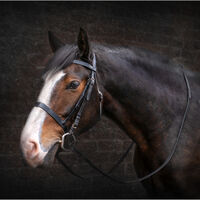 DEZMOND by Gillian Foulds