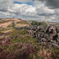 DISAPPEARING WALL by Ray Worthy
