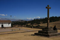 DISTANT ANDES by Malcolm Neal