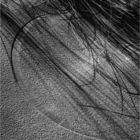 DRAWN BY THE WIND by Mark Constable