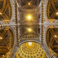 DUOMO ROOF, SIENA by Ashley Franklin