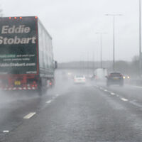 EDDIE by Gill Dishart