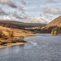 ELAN DAM by Sue Swain