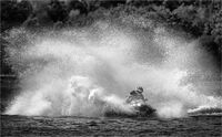 EMERGING FROM THE SPRAY by Mark Constable