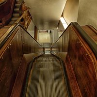 ESCALATE by Anne Read
