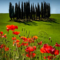 ESSENCE OF TUSCANY by Ashley Franklin