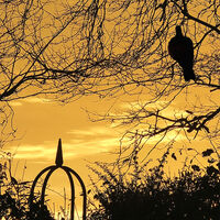EVENING OBELISK by Sue Swain