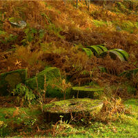 EVENING SUN ON MILL STONES by Frank Reeder