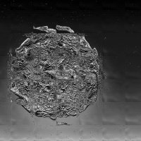 FACES IN THE MOON by Stanley J Annable