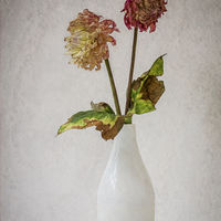 FADED FLOWERS by Christine Maughan