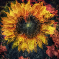 FADED GLORY by Sam Ruth