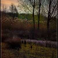 FADING LIGHT by Alan Locke