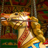 FAIRGROUND HISTORY by Gill Dishart