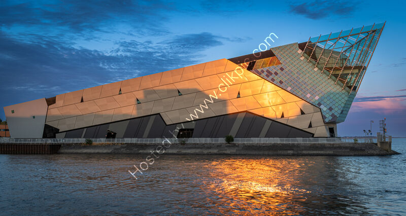 FARRELLS FIN by Richard Bower