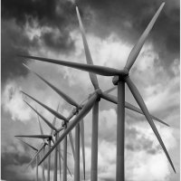 FEEDING THE GRID by Sue Swain