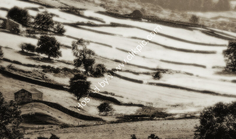 FIELDS OF DREAMS by David Salt