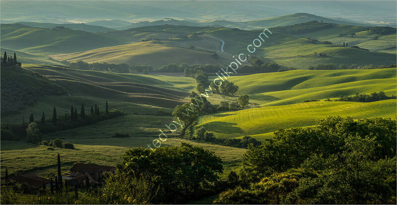 FIRST LIGHT FROM THE TERRACE by Ray Andrews