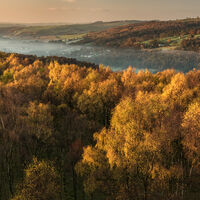 FIRST LIGHT ON BOLEHILL WOOD by Mark Constable