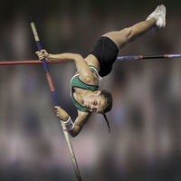FLYING HIGH by David Goodman