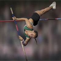 FLYING HIGH by David Goodman