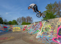 FLYING HIGH by Neil Partridge