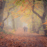 FOGGY DAY ON THE CHEVIN