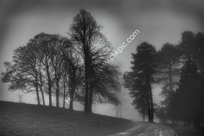 FOG OVER LYME by Ray Andrews