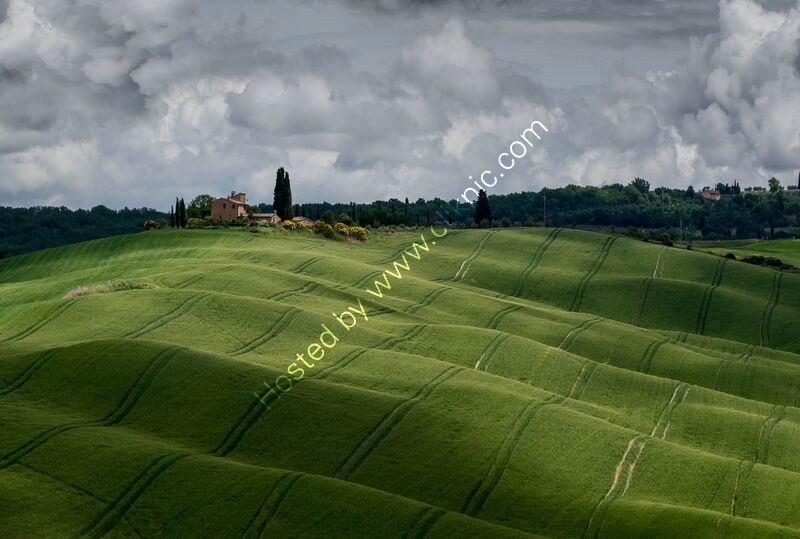 FOLDS IN THE FIELD by Ray Andrews