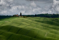 FOLDS IN THE FIELD by Ray Andrews