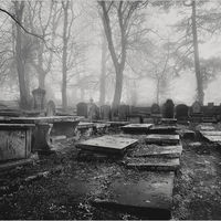 FORGOTTEN LIVES by Sue Swain