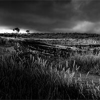 FORGOTTEN by Ray Worthy