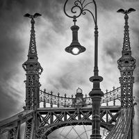 FREEDOM BRIDGE BUDAPEST by Tony Baker